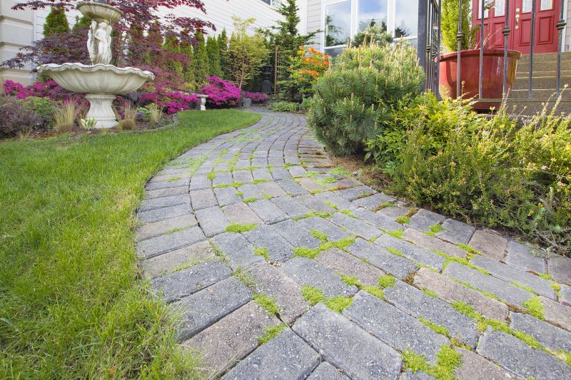 Decorative Paver Pathway