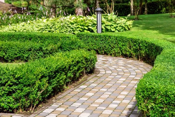 Cost of Paved Landscaping in Colorado Springs