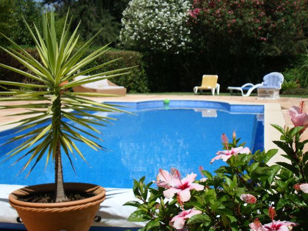 Cost of Pool Terrace Renovation in Colorado Springs